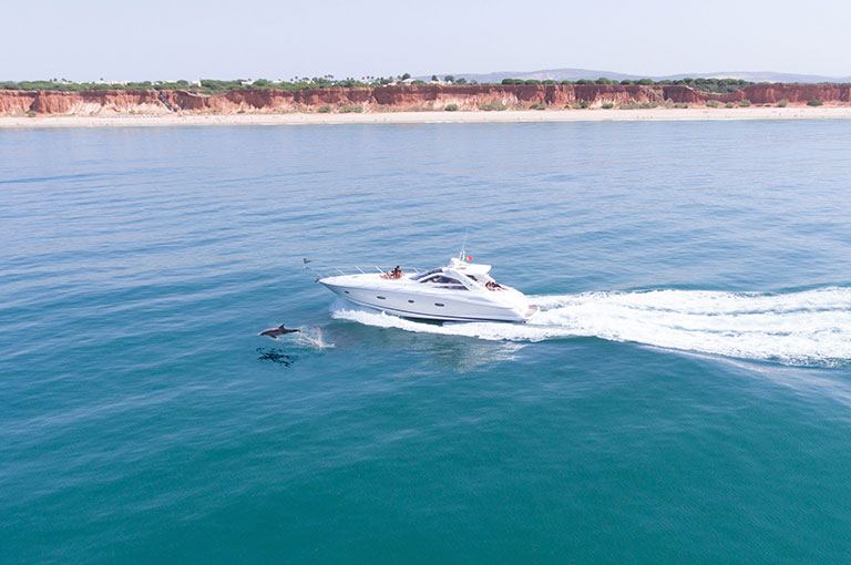 Luxury motor yacht at sea with a dolphin swimming alongside