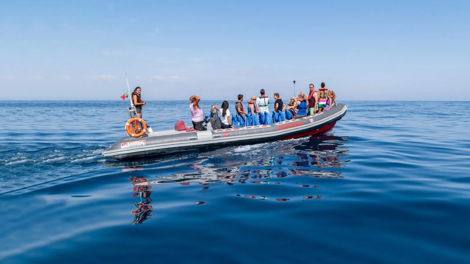 Semirrígido com convidados à procura de golfinhos num mar calmo do Algarve